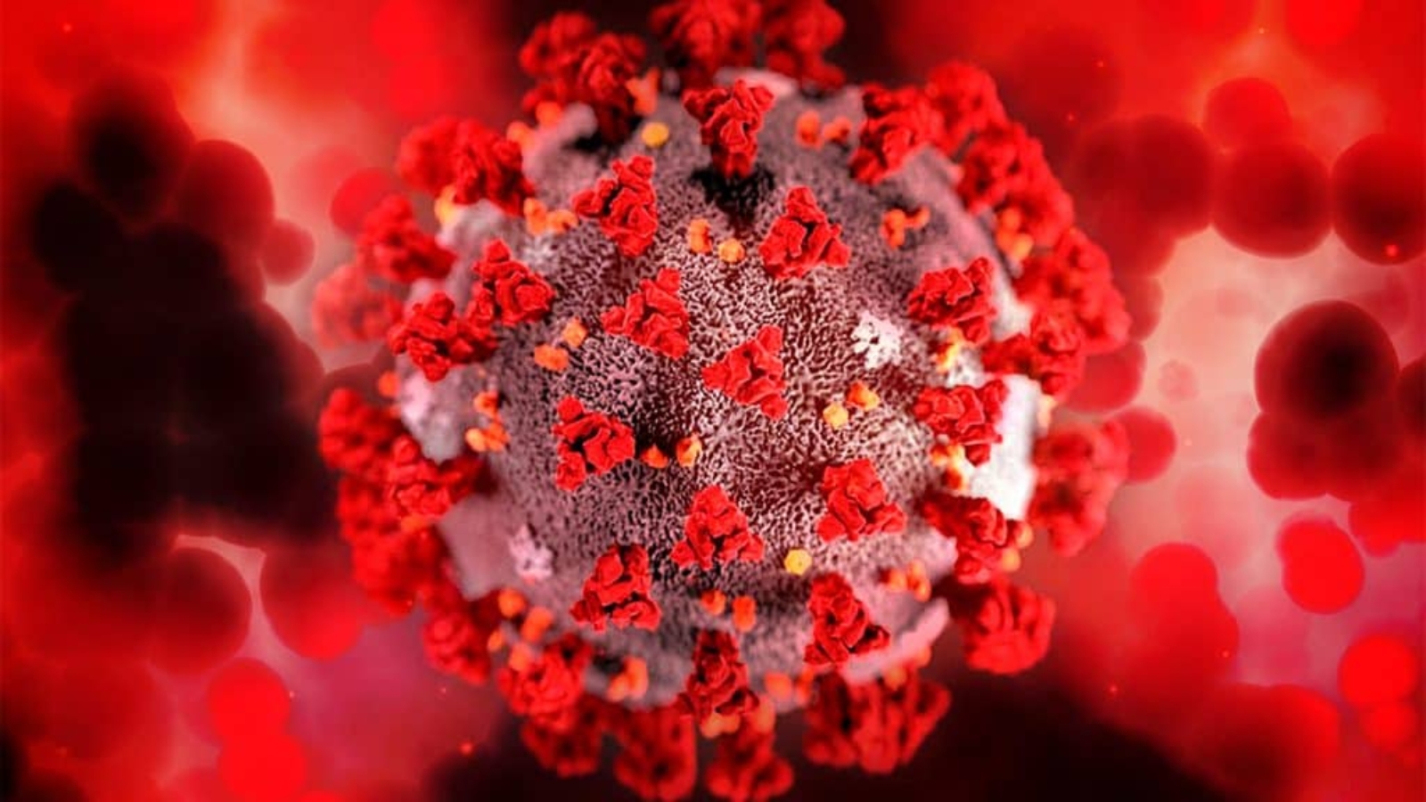 Destaque-coronavirus-1024x576