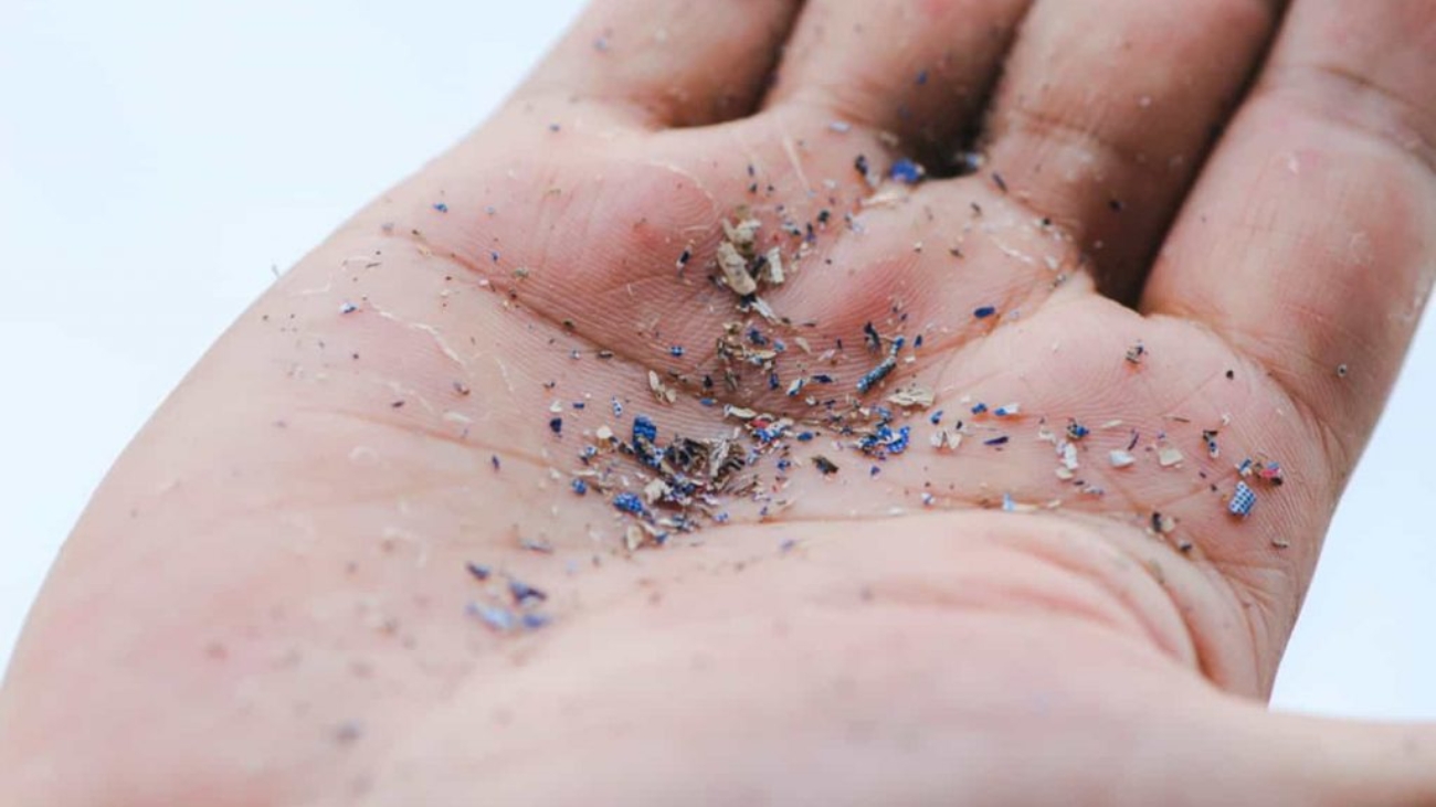 Microplasticos-1-1-e1709816752815-1024x576