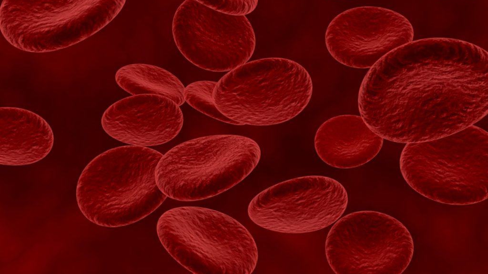 clulas-vermelhas-do-sangue-1024x819
