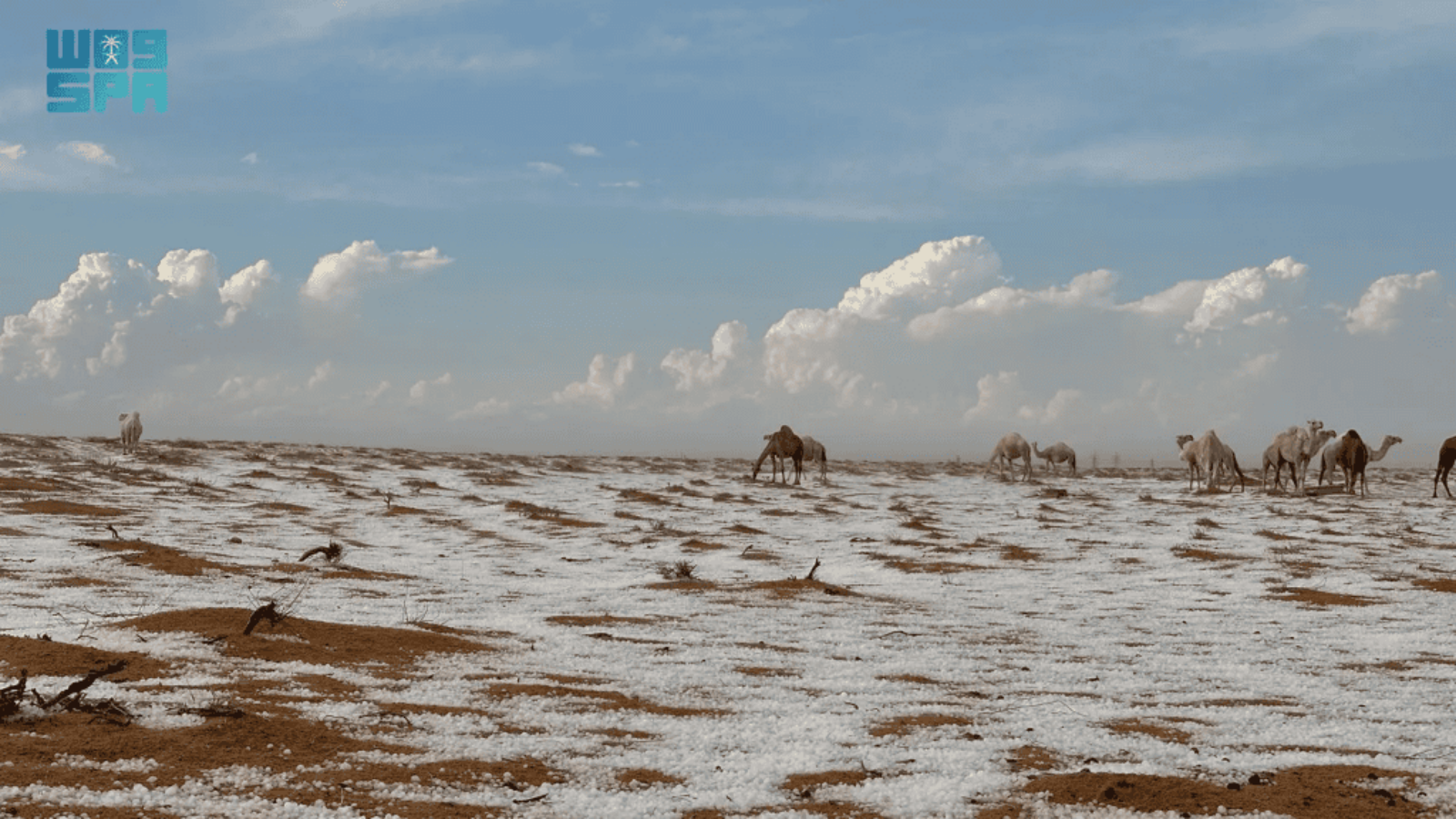 deserto-arabia-1024x576