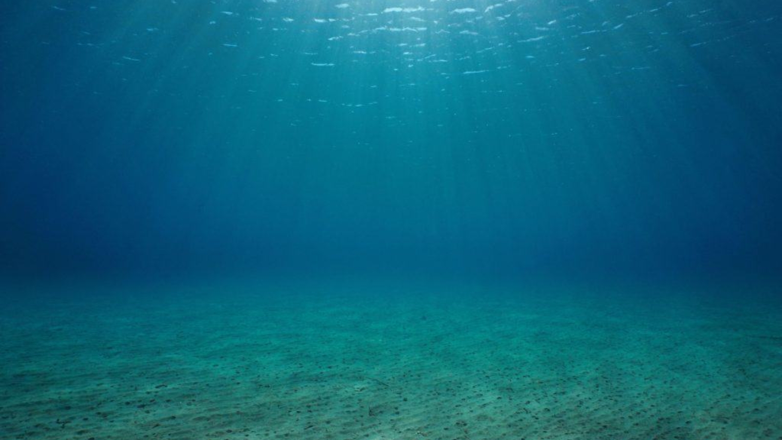 fundo-do-mar-1024x773