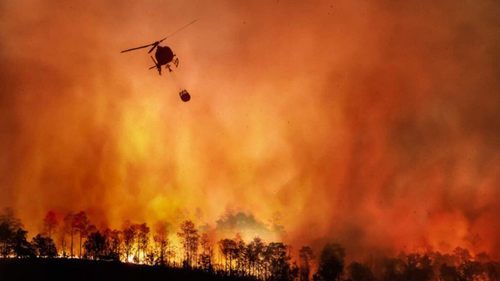 incendio-amazonia-1-1-1024x683