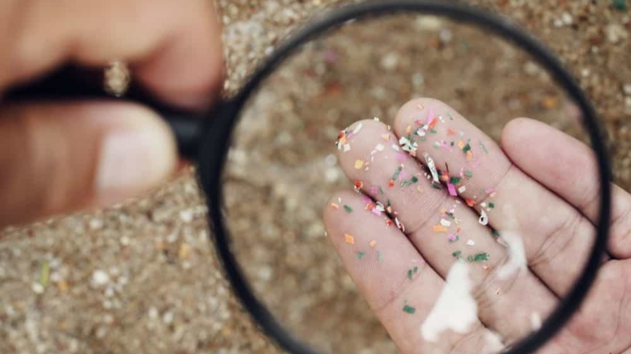 microplasticos-imagem-pesquisa