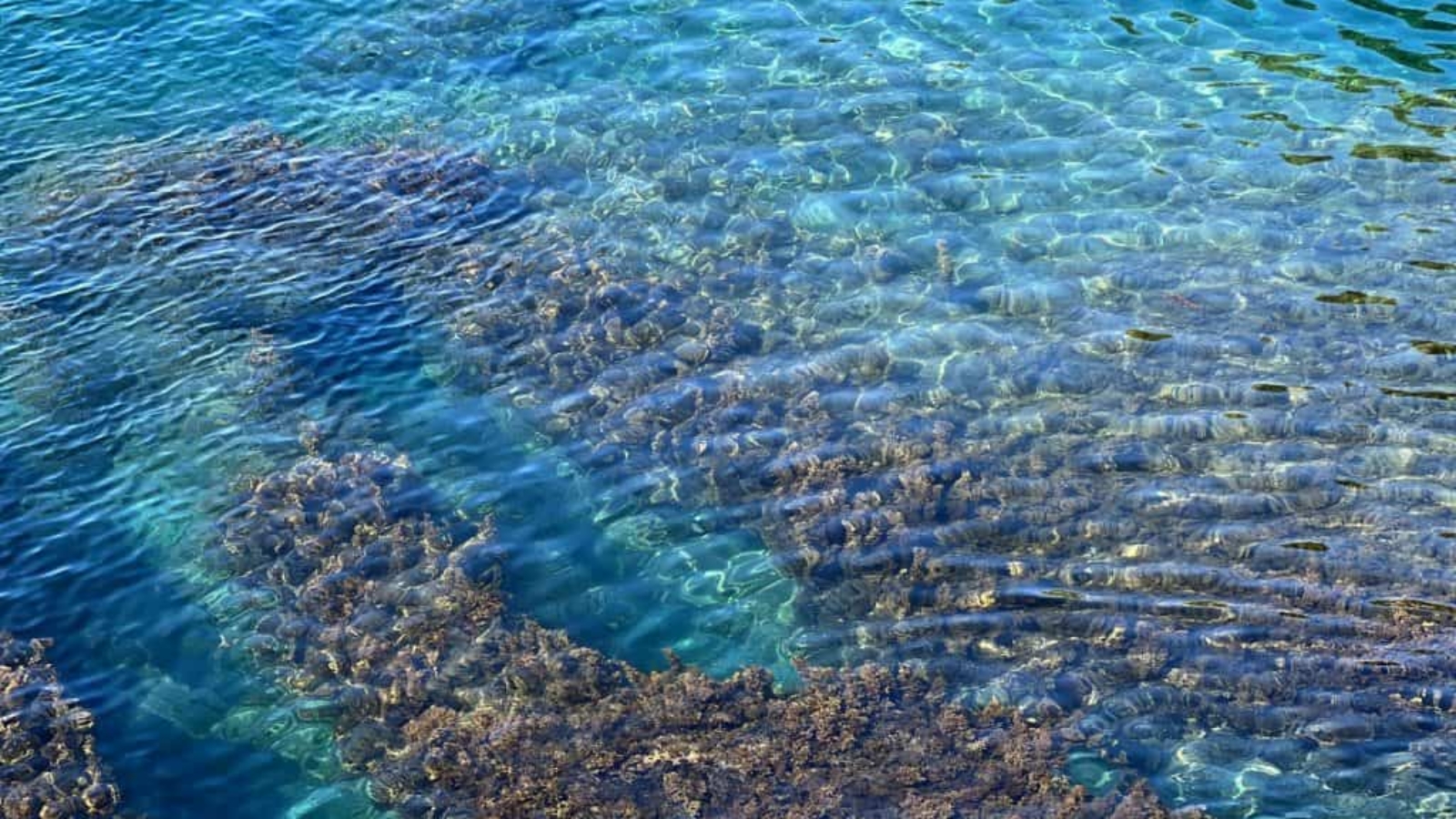 oceano-1-1024x768