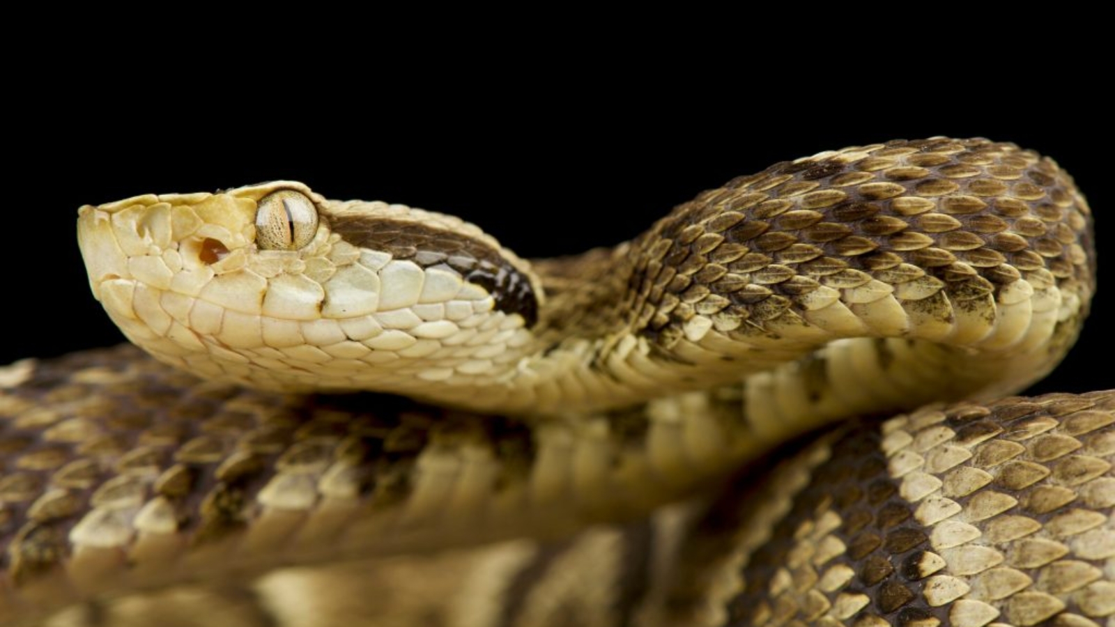 shutterstock_1671876379-1024x683