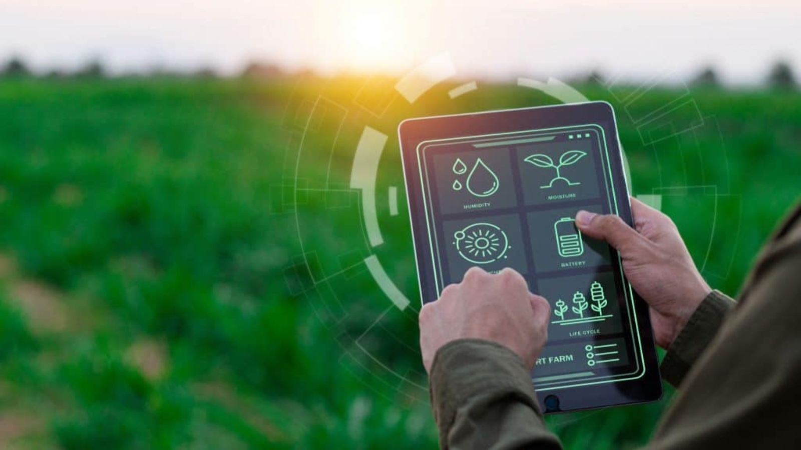Pessoa-com-tablet-em-meio-rural-1024x576