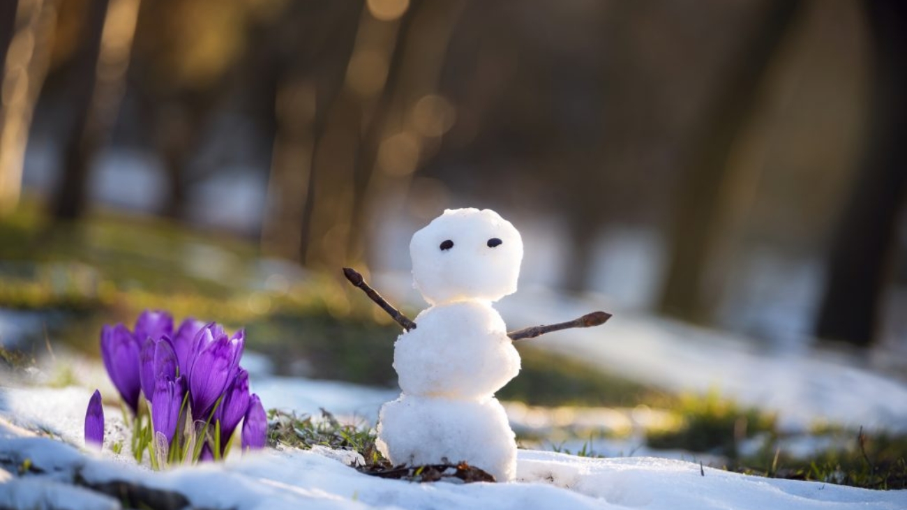 iStock-1922488802-1024x683