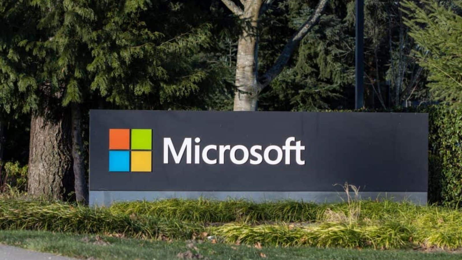 microsoft-1024x683