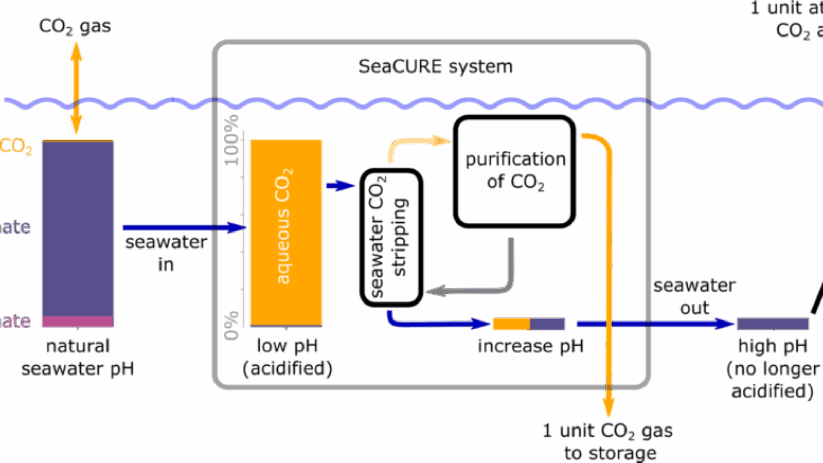 seacure_fundimentals_carbon_speciation_public-1024x411-1