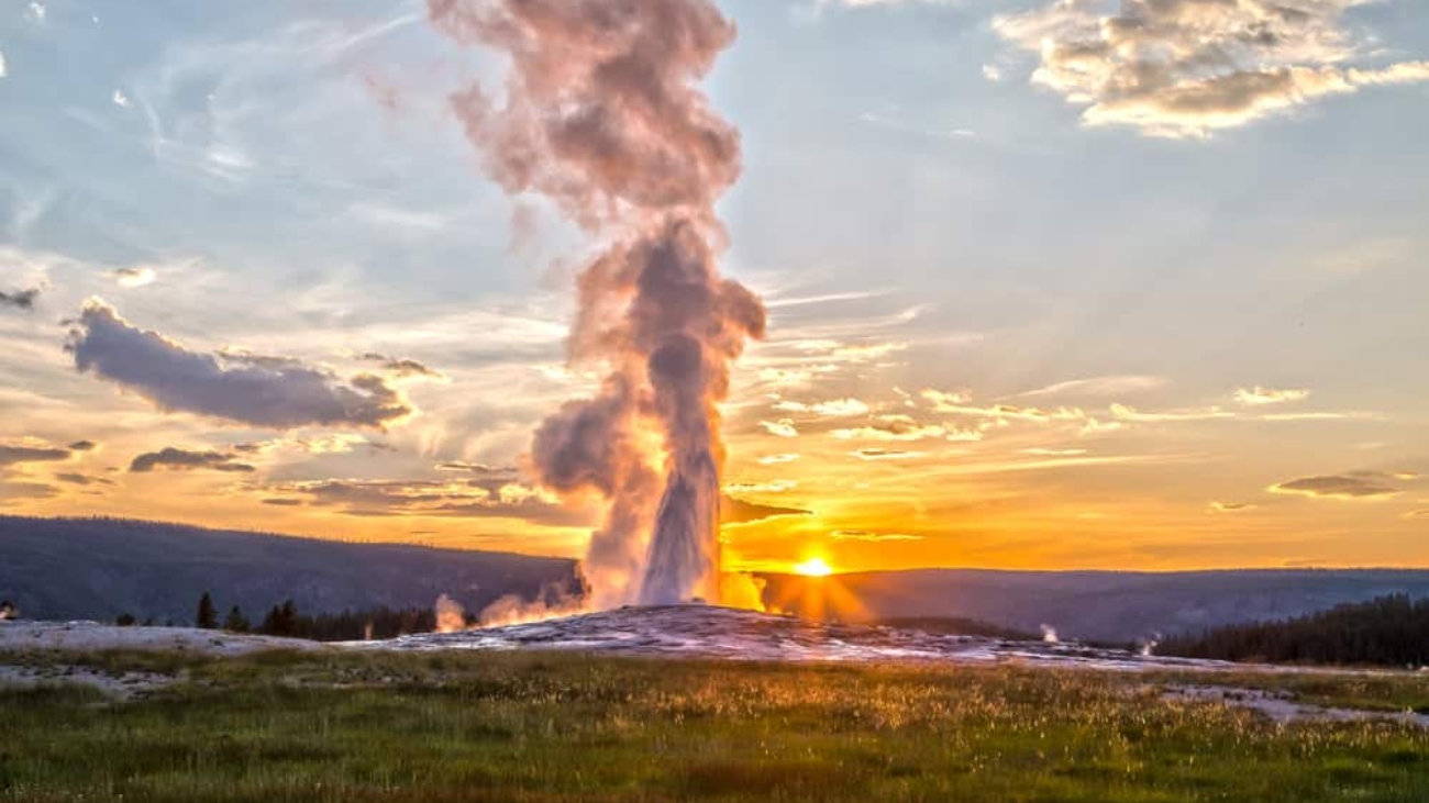 shutterstock_560319724