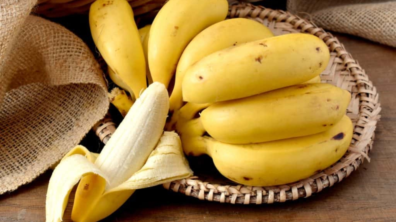 Bananas-1-1024x683