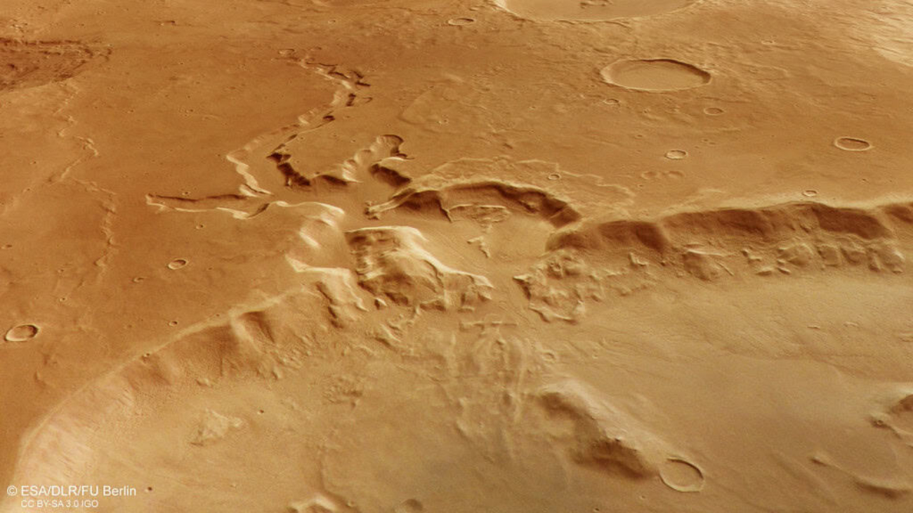 Branched_channel_at_Deuteronilus_Cavus_on_Mars-1024x576