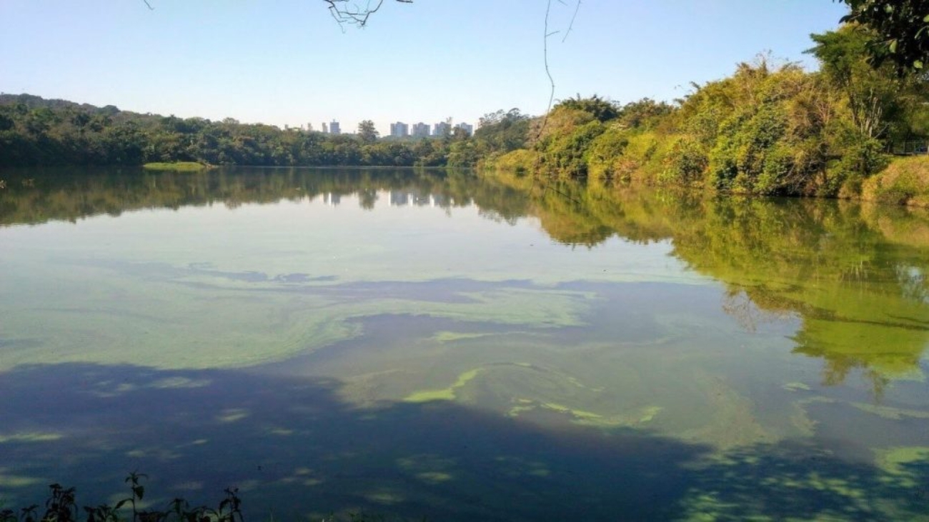 Lago-das-Garas-1024x576
