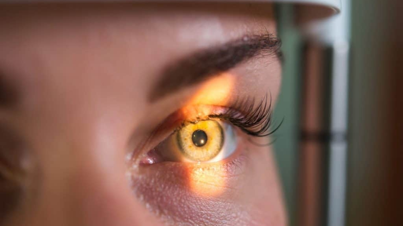 OLHOS-1024x684