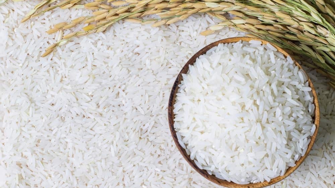 arroz-cultivo-espaco