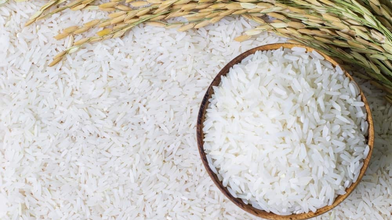 arroz-cultivo-espaco