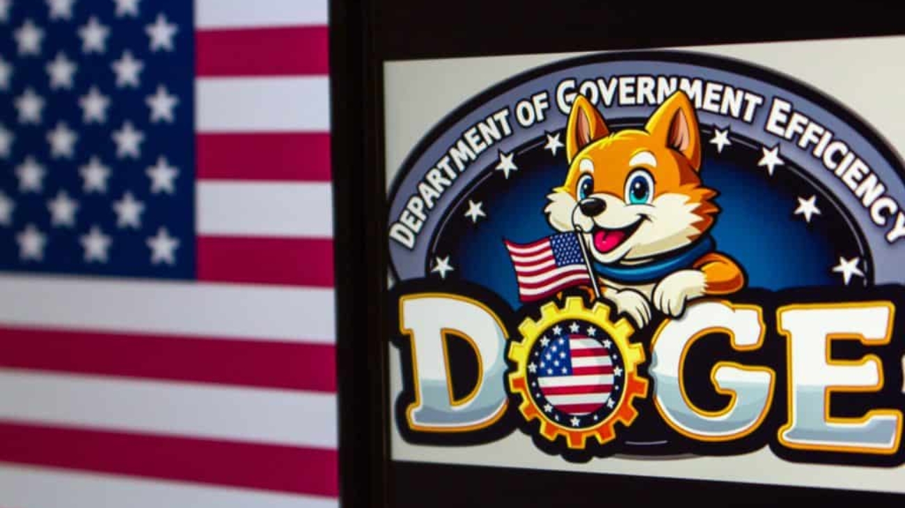doge-1024x683