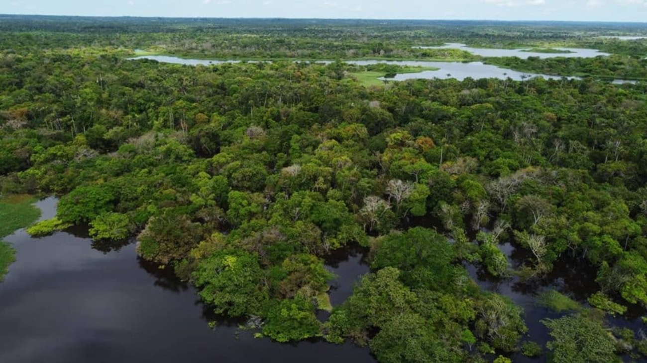 floresta-amazonica-1-1024x576