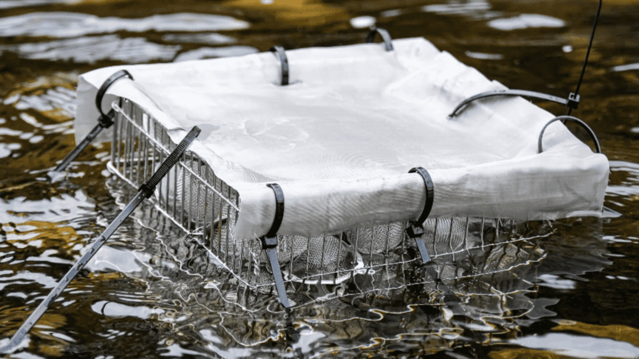 gaiola-microplastico-1024x683