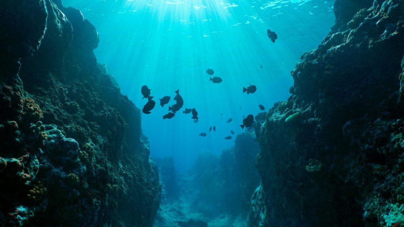 Destaque-Fundo-do-oceano-Pacifico-1024x576