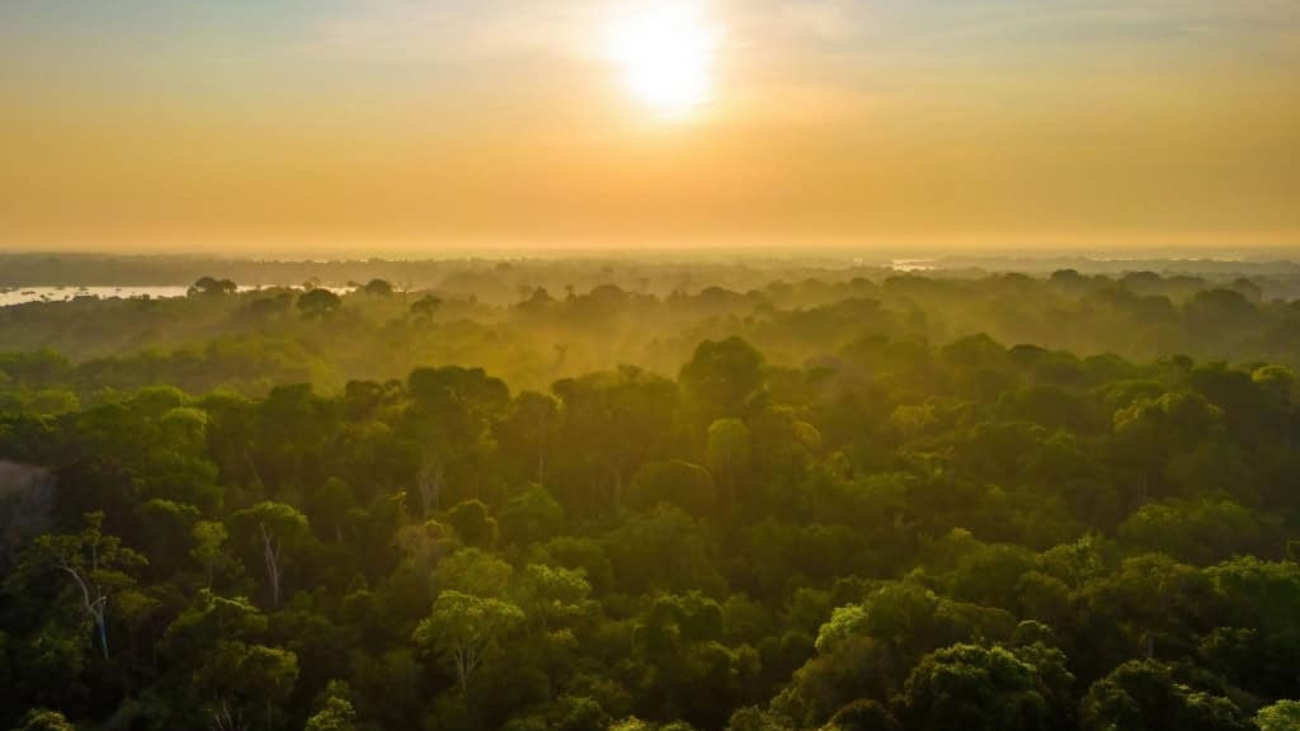 floresta-amazonia-1-1024x677