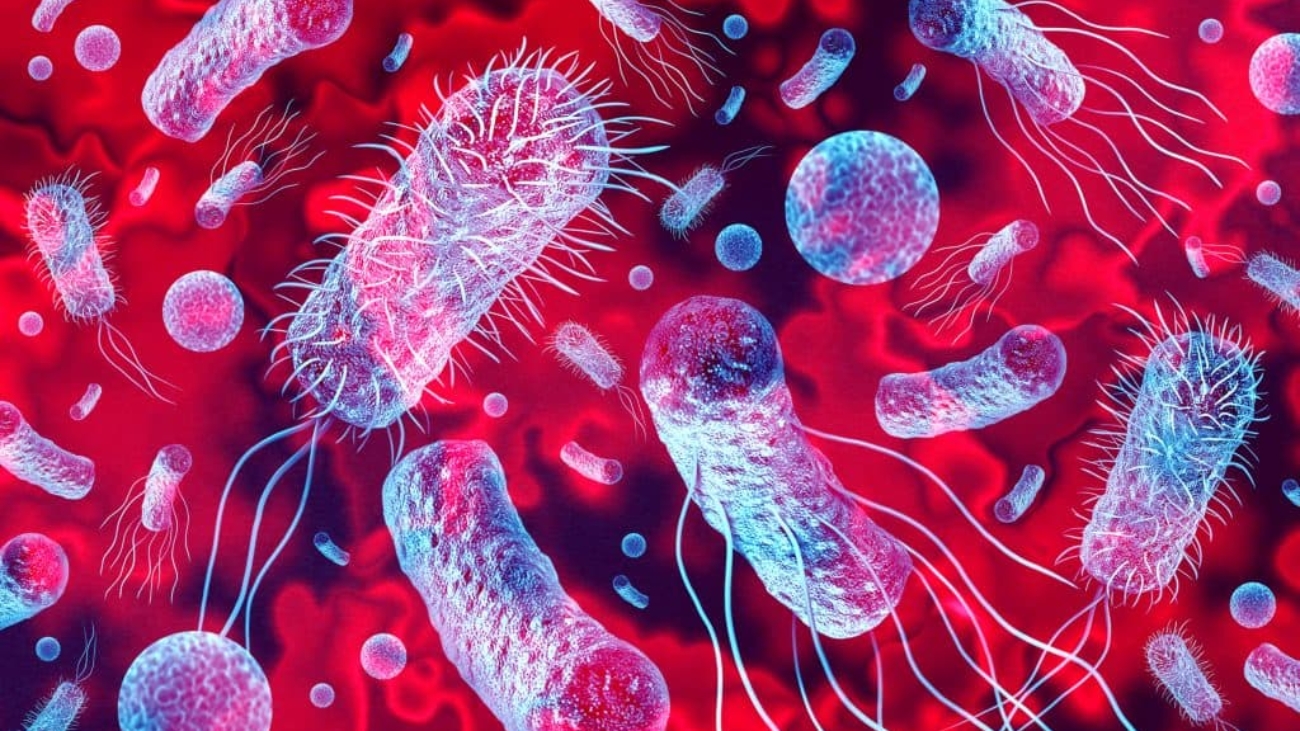 iStock-1497926468-1024x581