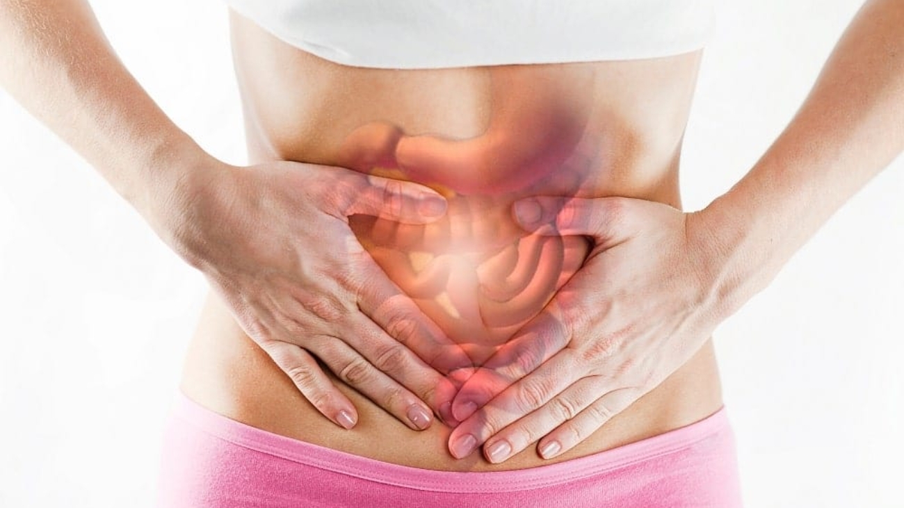 intestino